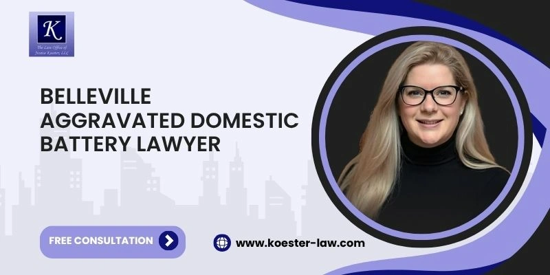 best aggravated domestic battery lawyer in belleville